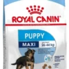 Royal Canin Maxi Puppy 4 kg - hvalpefoder til store racer Hundefoder|Tørfoder Til Hunde I Alle Størrelser Og Aldre