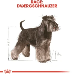 Discount Royal Canin Miniature Schnauzer Adult 3 kg - tørfoder til små hunde Hundefoder|Tørfoder Til Hunde I Alle Størrelser Og Aldre