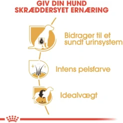 Discount Royal Canin Miniature Schnauzer Adult 3 kg - tørfoder til små hunde Hundefoder|Tørfoder Til Hunde I Alle Størrelser Og Aldre