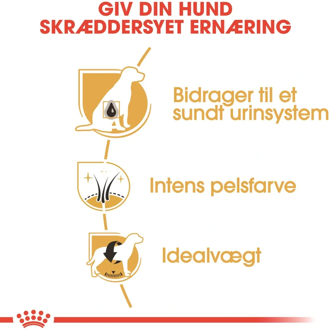 Sale Royal Canin Miniature Schnauzer Adult 7,5 kg - tørfoder til voksne hunde Hundefoder|Tørfoder Til Hunde I Alle Størrelser Og Aldre