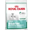 Hot Royal Canin Mini Starter Mother & BabyDog 8 kg - hundefoder til tæver og hvalpe Hundefoder|Tørfoder Til Hunde I Alle Størrelser Og Aldre