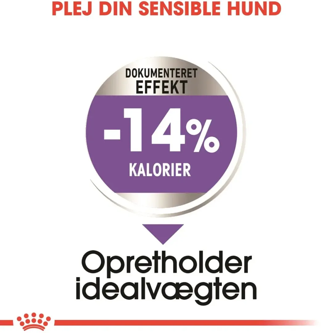 Outlet Royal Canin Mini Sterilised Adult 3 kg - hundefoder til små steriliserede hunde Hundefoder|Tørfoder Til Hunde I Alle Størrelser Og Aldre