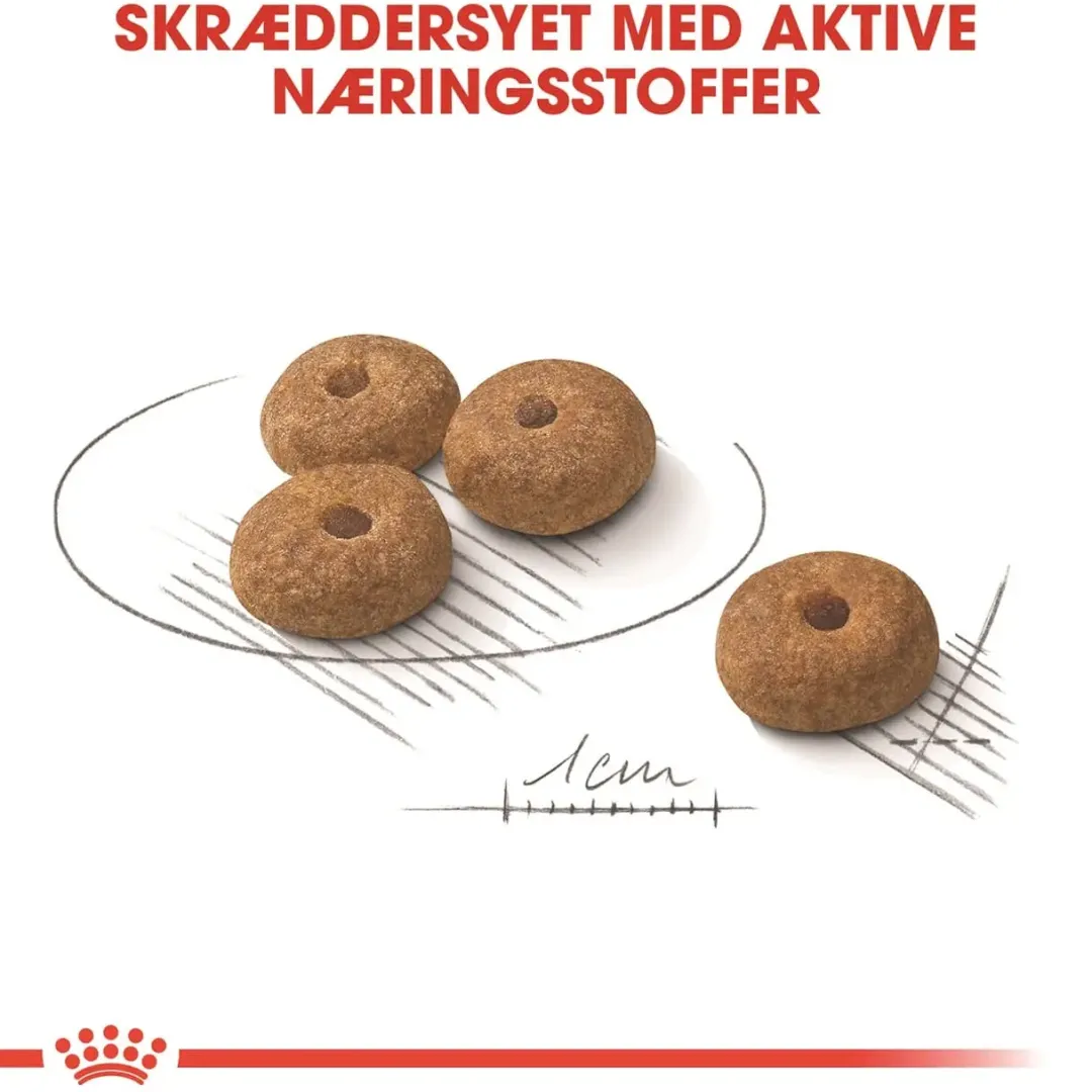 Outlet Royal Canin Mini Sterilised Adult 3 kg - hundefoder til små steriliserede hunde Hundefoder|Tørfoder Til Hunde I Alle Størrelser Og Aldre