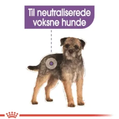 Outlet Royal Canin Mini Sterilised Adult 3 kg - hundefoder til små steriliserede hunde Hundefoder|Tørfoder Til Hunde I Alle Størrelser Og Aldre