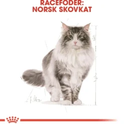 Online Royal Canin Norsk Skovkat 2 kg Kattefoder & Snacks