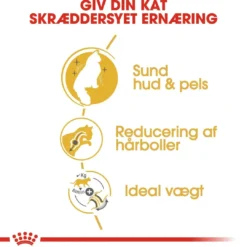 Online Royal Canin Norsk Skovkat 2 kg Kattefoder & Snacks