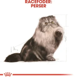 Online Royal Canin Persian 10 kg Kattefoder & Snacks