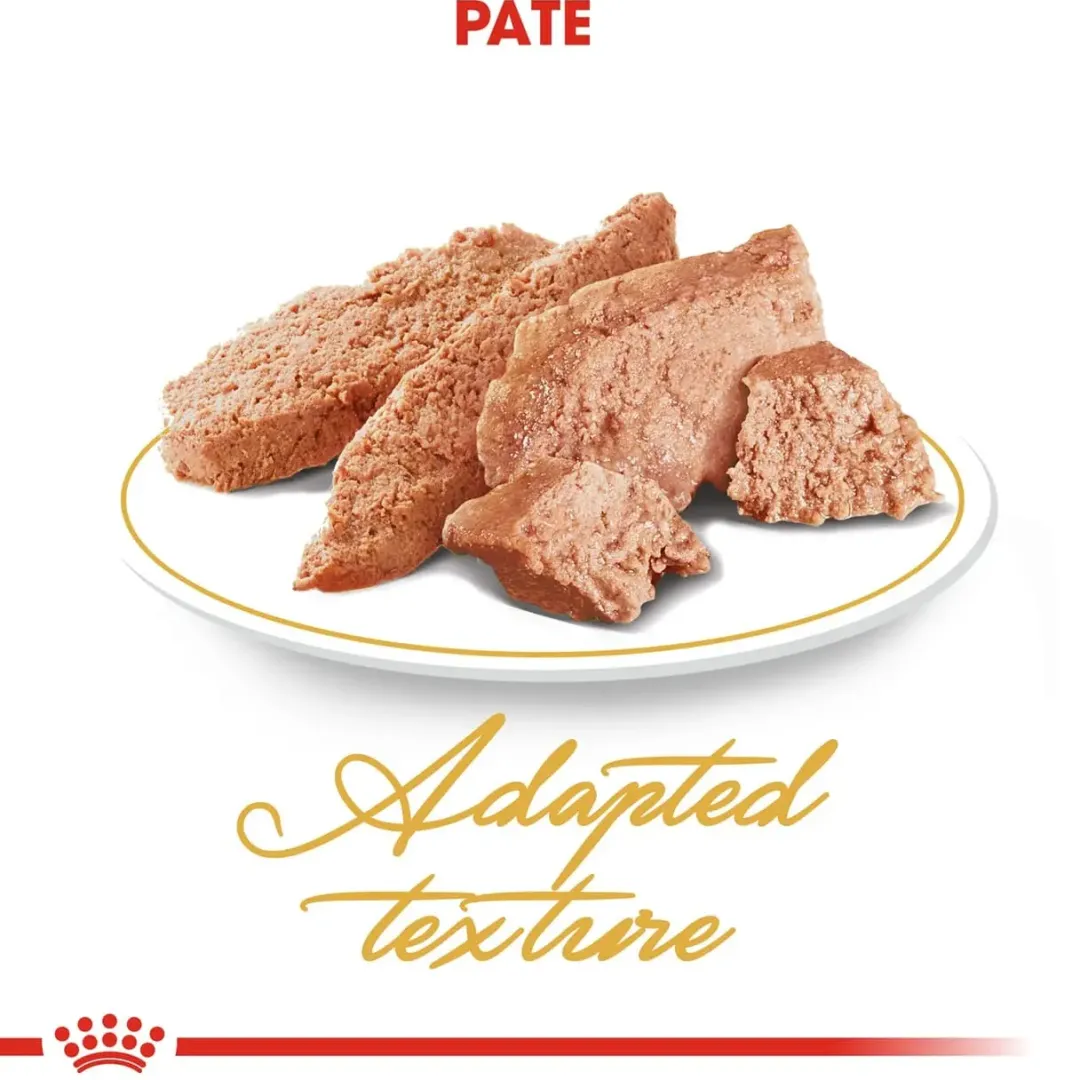 Royal Canin Persian Sovs - vådfoder 85 g Kattefoder & Snacks