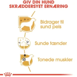 Outlet Royal Canin Poodle Adult 7,5 kg - tørfoder til voksne pudler Hundefoder|Tørfoder Til Hunde I Alle Størrelser Og Aldre