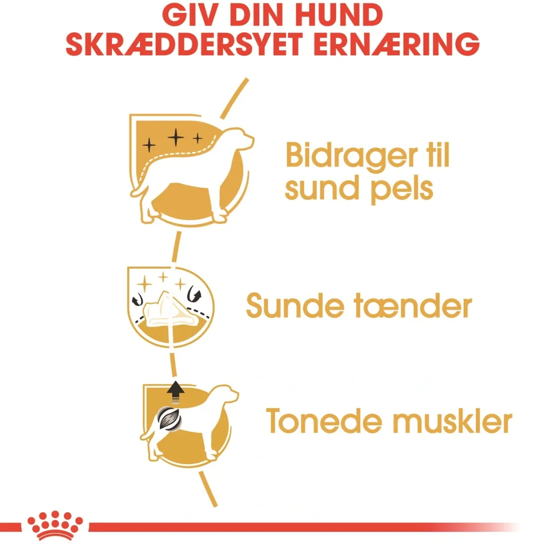 Outlet Royal Canin Poodle Adult 7,5 kg - tørfoder til voksne pudler Hundefoder|Tørfoder Til Hunde I Alle Størrelser Og Aldre