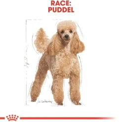 Outlet Royal Canin Poodle Adult 7,5 kg - tørfoder til voksne pudler Hundefoder|Tørfoder Til Hunde I Alle Størrelser Og Aldre