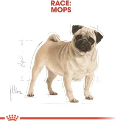 Hot Royal Canin Pug Adult 7,5 kg - tørfoder til mops Hundefoder|Tørfoder Til Hunde I Alle Størrelser Og Aldre