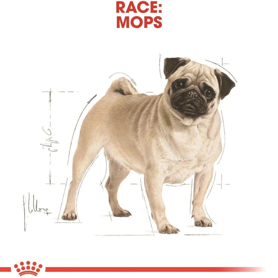 Hot Royal Canin Pug Adult 7,5 kg - tørfoder til mops Hundefoder|Tørfoder Til Hunde I Alle Størrelser Og Aldre