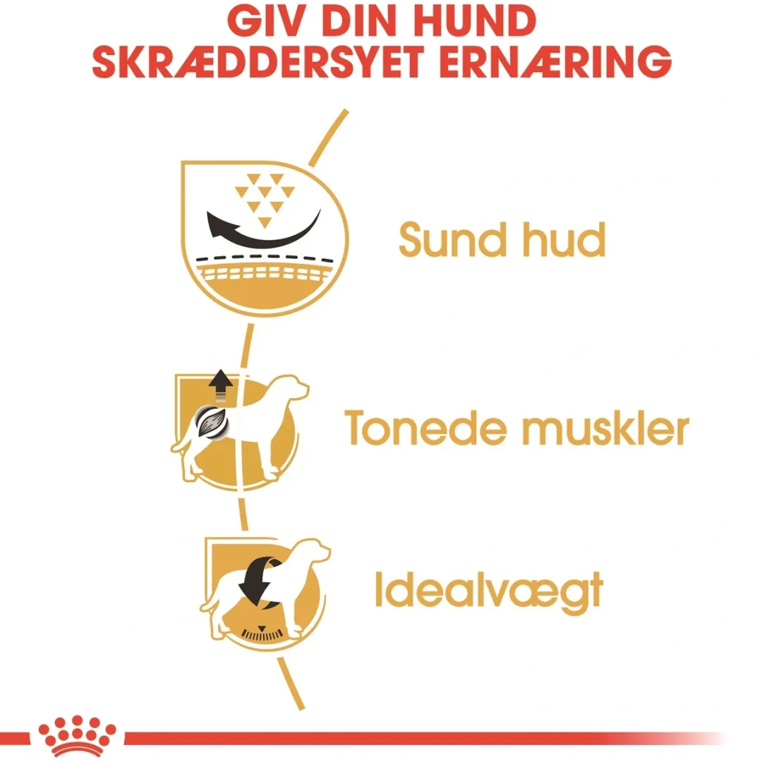 Hot Royal Canin Pug Adult 7,5 kg - tørfoder til mops Hundefoder|Tørfoder Til Hunde I Alle Størrelser Og Aldre