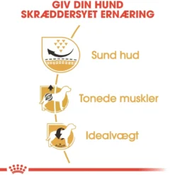 Clearance Royal Canin Pug Adult 1,5 kg - tørfoder til mops Hundefoder|Tørfoder Til Hunde I Alle Størrelser Og Aldre