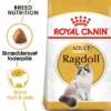 Clearance Royal Canin Ragdoll 2 kg Kattefoder & Snacks
