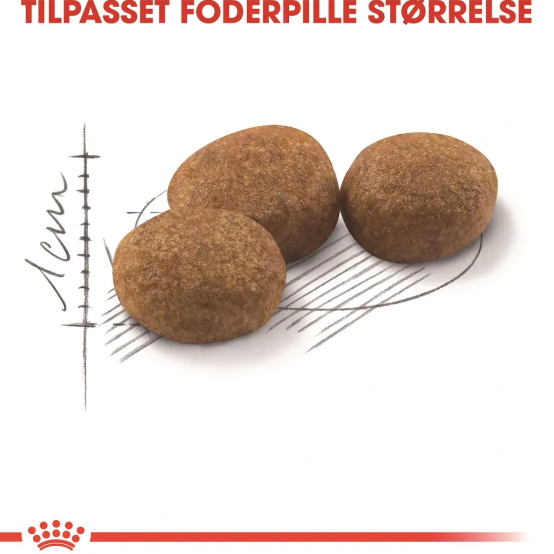 Clearance Royal Canin Regular Sterilised 400 gram Kattefoder & Snacks