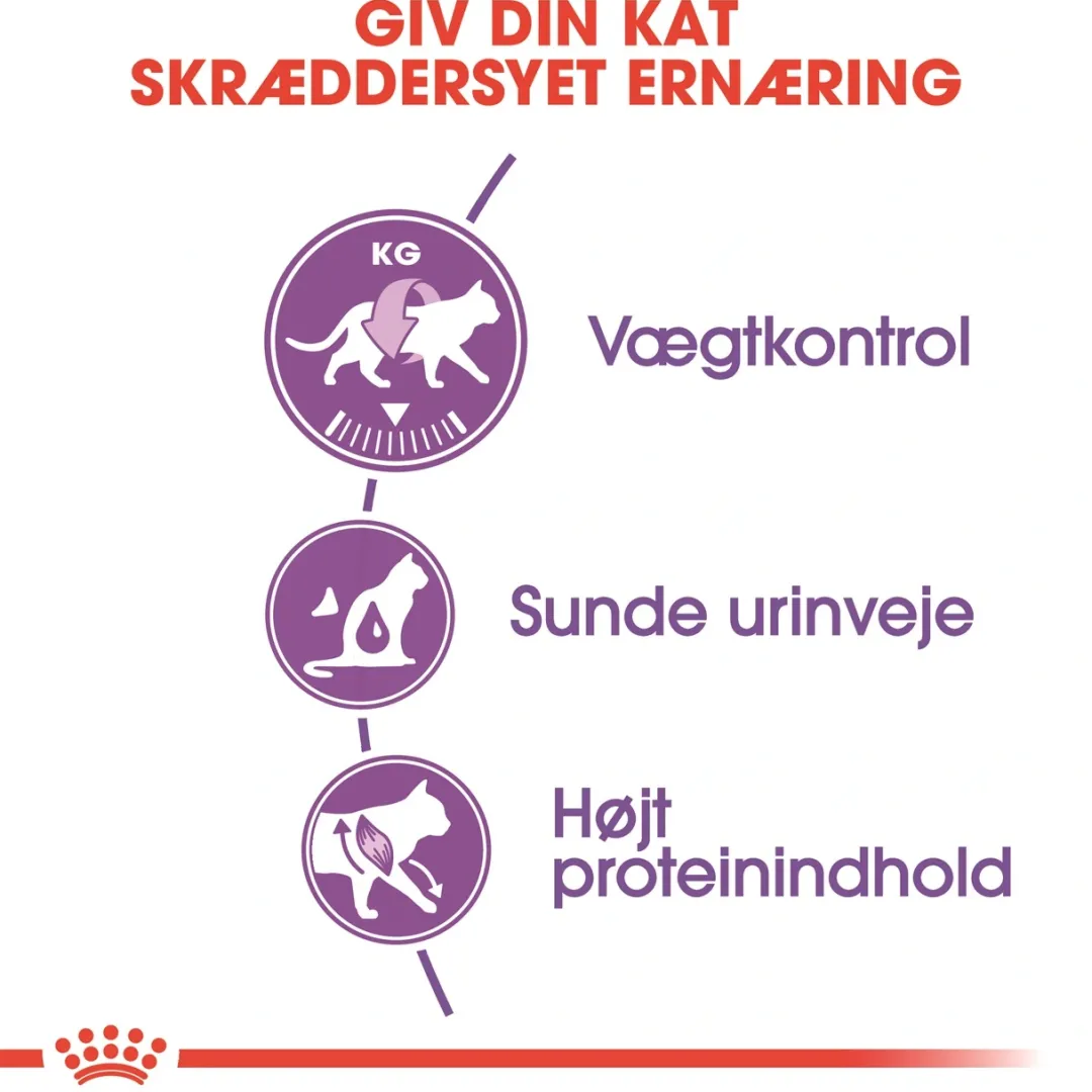 Clearance Royal Canin Regular Sterilised 400 gram Kattefoder & Snacks