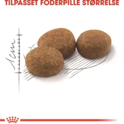 Clearance Royal Canin Regular Sterilised 10 kg Kattefoder & Snacks