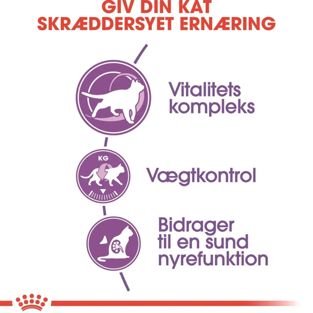 Clearance Royal Canin Regular Sterilised +7 3,5 kg Kattefoder & Snacks