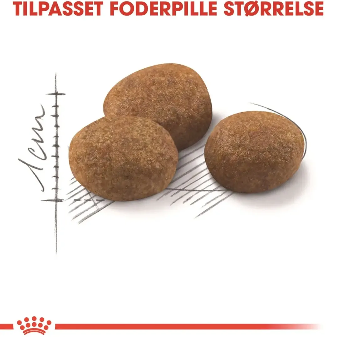 Clearance Royal Canin Regular Sterilised +7 3,5 kg Kattefoder & Snacks