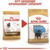 Outlet Royal Canin Rottweiler Puppy 12 kg - tørfoder til hvalpe Hundefoder|Tørfoder Til Hunde I Alle Størrelser Og Aldre