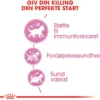 Hot Royal Canin Second Age Kitten 400 g Killingefoder - Sundt Kattefoder Til Killinger I Alle Racer|Kattefoder & Snacks