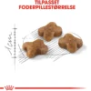 New Royal Canin Second Age Kitten 2 kg Killingefoder - Sundt Kattefoder Til Killinger I Alle Racer|Kattefoder & Snacks