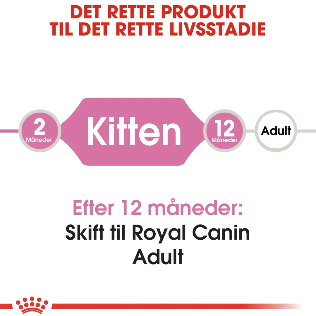 Best Royal Canin Second Age Kitten 4 kg Killingefoder - Sundt Kattefoder Til Killinger I Alle Racer|Kattefoder & Snacks