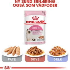 Best Royal Canin Second Age Kitten 4 kg Killingefoder - Sundt Kattefoder Til Killinger I Alle Racer|Kattefoder & Snacks