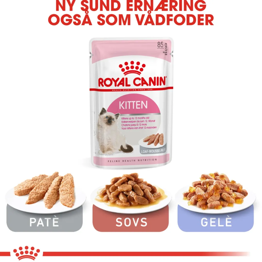 Best Royal Canin Second Age Kitten 4 kg Killingefoder - Sundt Kattefoder Til Killinger I Alle Racer|Kattefoder & Snacks