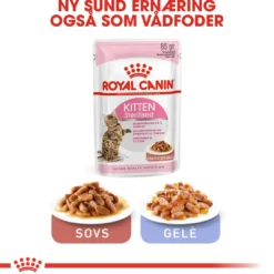 Clearance Royal Canin Second Age Kitten Sterilised 2 kg Killingefoder - Sundt Kattefoder Til Killinger I Alle Racer|Kattefoder & Snacks