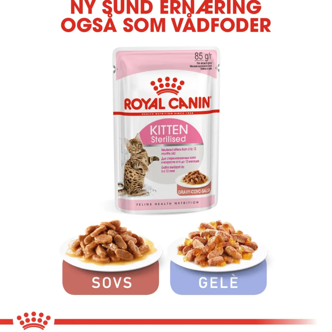 Clearance Royal Canin Second Age Kitten Sterilised 2 kg Killingefoder - Sundt Kattefoder Til Killinger I Alle Racer|Kattefoder & Snacks