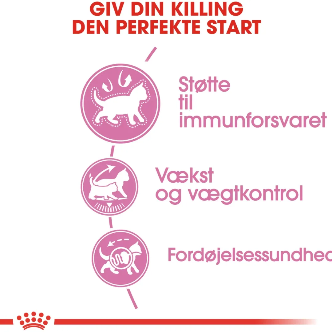 Clearance Royal Canin Second Age Kitten Sterilised 2 kg Killingefoder - Sundt Kattefoder Til Killinger I Alle Racer|Kattefoder & Snacks