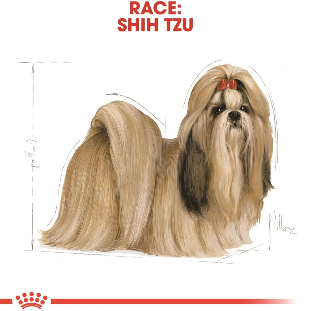 Online Royal Canin Shih Tzu Adult 7,5 kg - tørfoder til voksne hunde Hundefoder|Tørfoder Til Hunde I Alle Størrelser Og Aldre