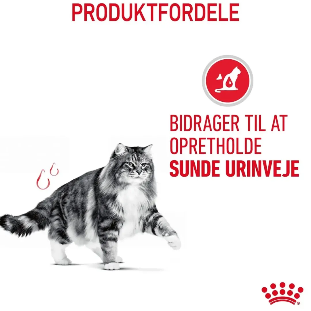 New Royal Canin Urinary Care 4 kg Kattefoder & Snacks