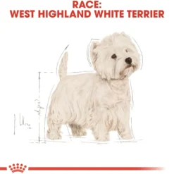 Outlet Royal Canin West Highland White Terrier Adult 1,5 kg - tørfoder til Westie Hundefoder|Tørfoder Til Hunde I Alle Størrelser Og Aldre