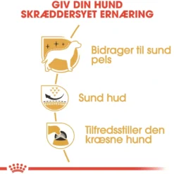 Outlet Royal Canin West Highland White Terrier Adult 3 kg - tørfoder til Westie Hundefoder|Tørfoder Til Hunde I Alle Størrelser Og Aldre