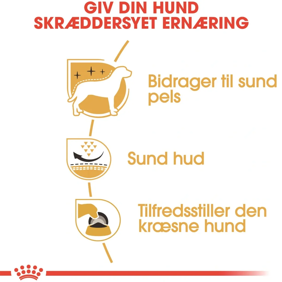 Outlet Royal Canin West Highland White Terrier Adult 3 kg - tørfoder til Westie Hundefoder|Tørfoder Til Hunde I Alle Størrelser Og Aldre