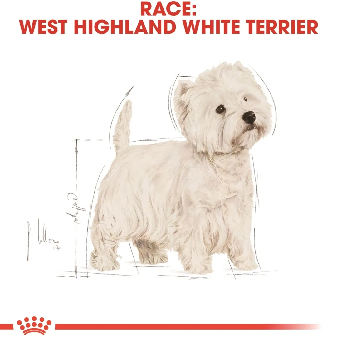 Outlet Royal Canin West Highland White Terrier Adult 3 kg - tørfoder til Westie Hundefoder|Tørfoder Til Hunde I Alle Størrelser Og Aldre