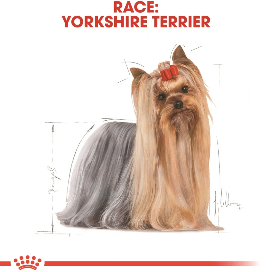 Hot Royal Canin Yorkshire Terrier Adult 1,5 kg - tørfoder til små hunde Hundefoder|Tørfoder Til Hunde I Alle Størrelser Og Aldre