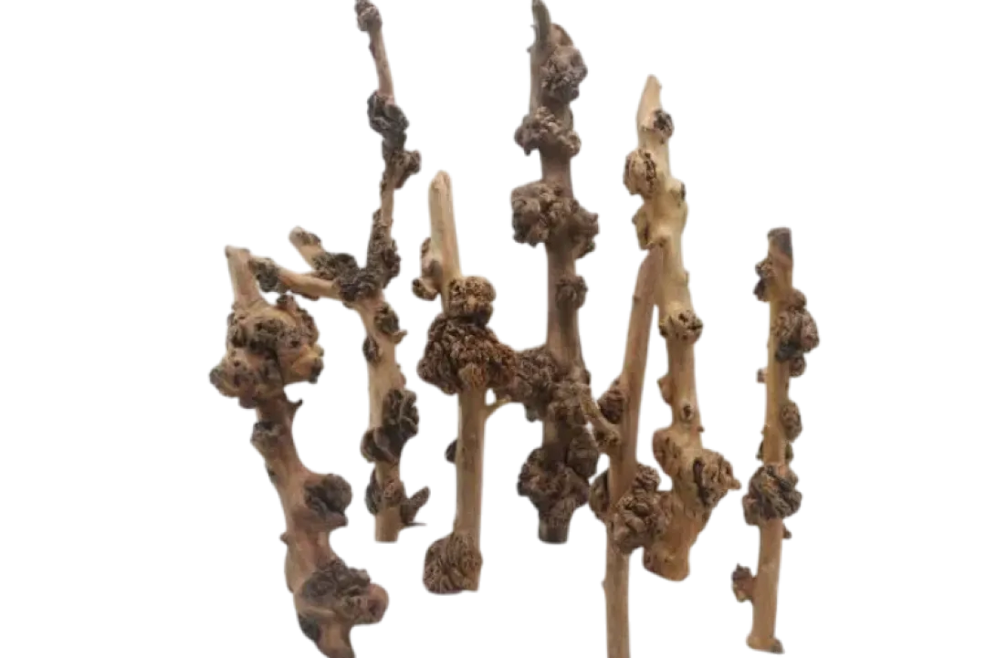 Outlet SavaWood 50-70 cm. x Ø2-5cm Aquascaping|Dekoration Til Terrarier