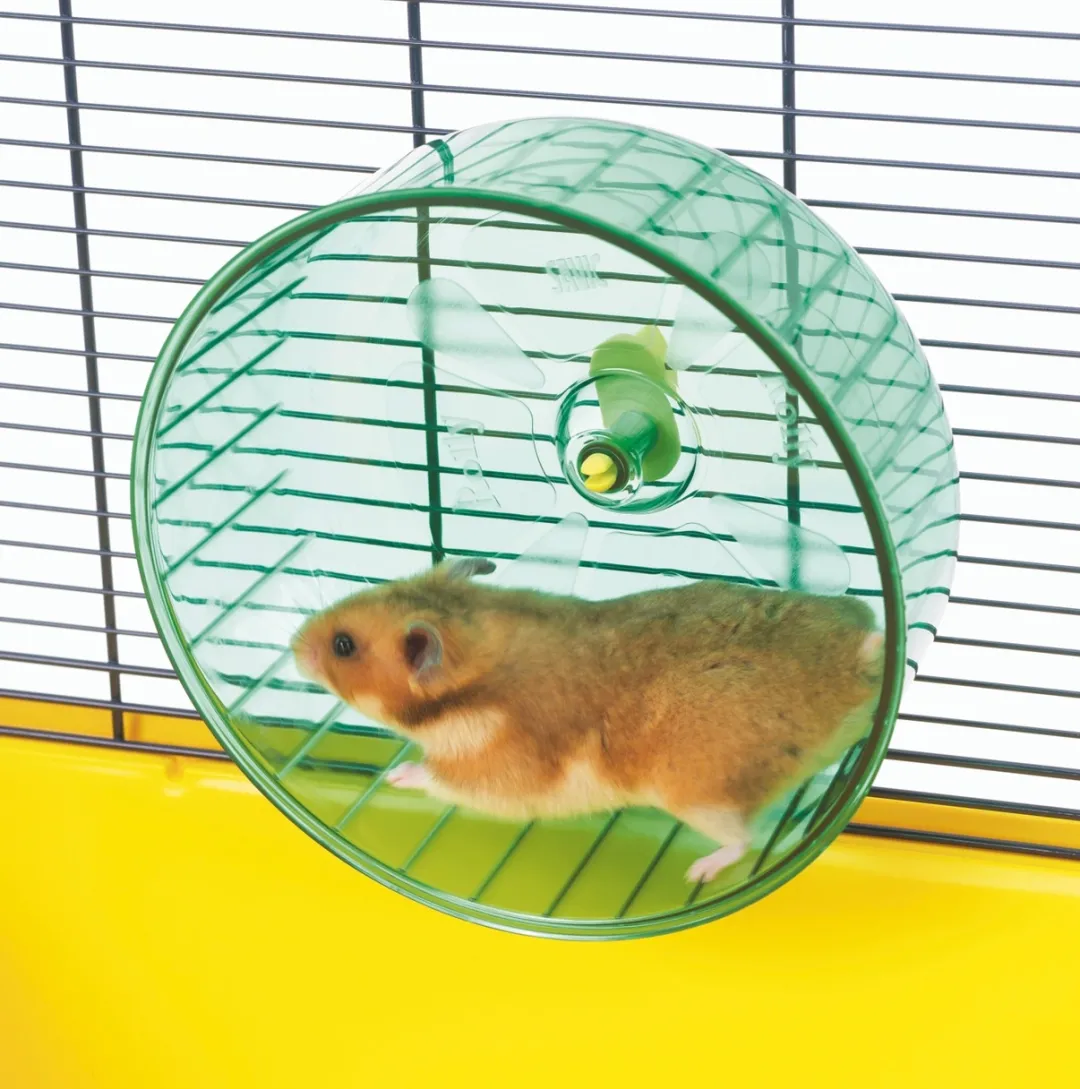 Online Savic Rolly Hamster Løbehjul 18 cm Legetøj Til Gnavere & Kaniner