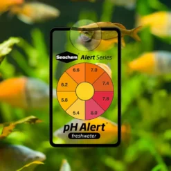 Best Ph Alert 6 Month Måleudstyr Til Akvarium