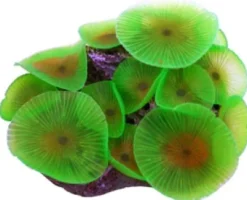 New Selvlysende skive anemone Dekoration Til Saltvand
