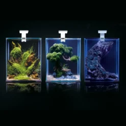 Shrimpset Day and Night 20 L akvarium 25x25x30 cm Sort Akvarier