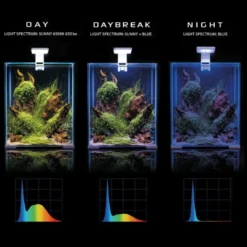 Shrimpset Day and Night 20 L akvarium 25x25x30 cm Sort Akvarier