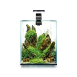 Discount Shrimpset Day and Night 30 L akvarium 29x29x35 cm Sort Akvarier