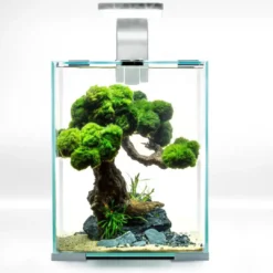 Best Shrimpset Day and Night 10 L 20x20x25 cm Hvid Akvarier
