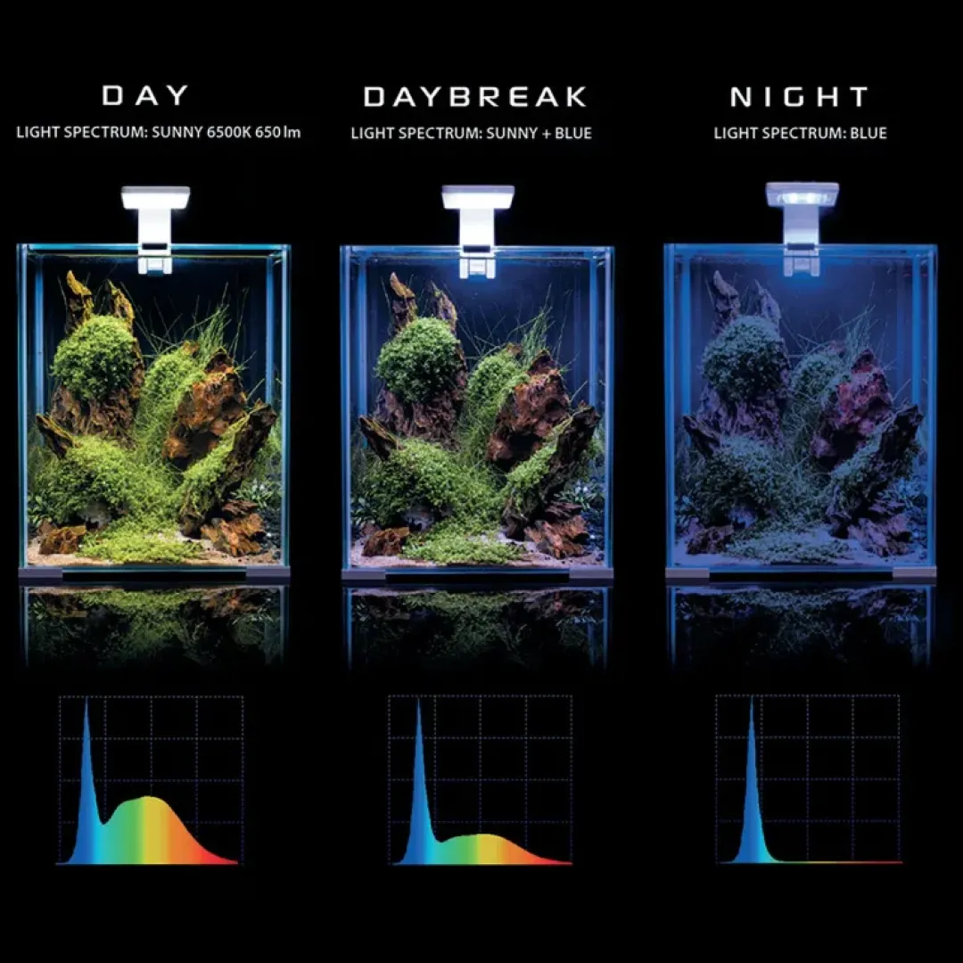 Discount Shrimpset Day and Night 20 L 25x25x30 cm Hvid Akvarier